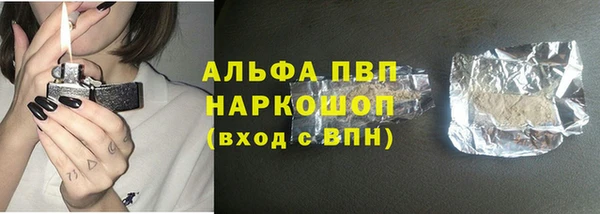 PSILOCYBIN Горнозаводск