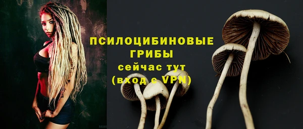 крисы Вязьма