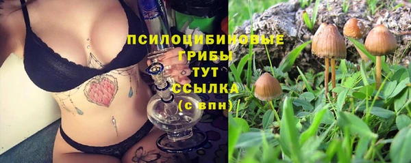 PSILOCYBIN Горнозаводск