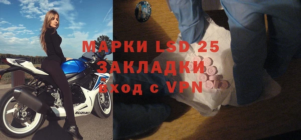 PSILOCYBIN Горнозаводск