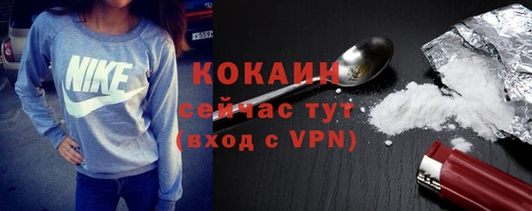 крисы Вязьма