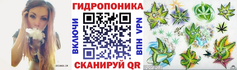 Каннабис OG Kush  купить закладку  Буйнакск 